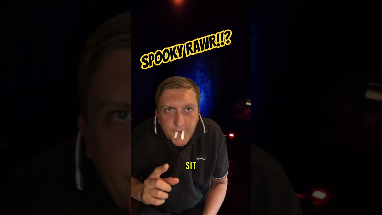 What goes through my mind on The vampire?