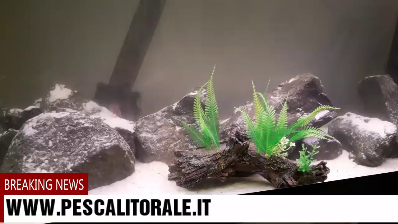 SPINNING CON SILICONICI - MOVIMENTO IN ACQUA