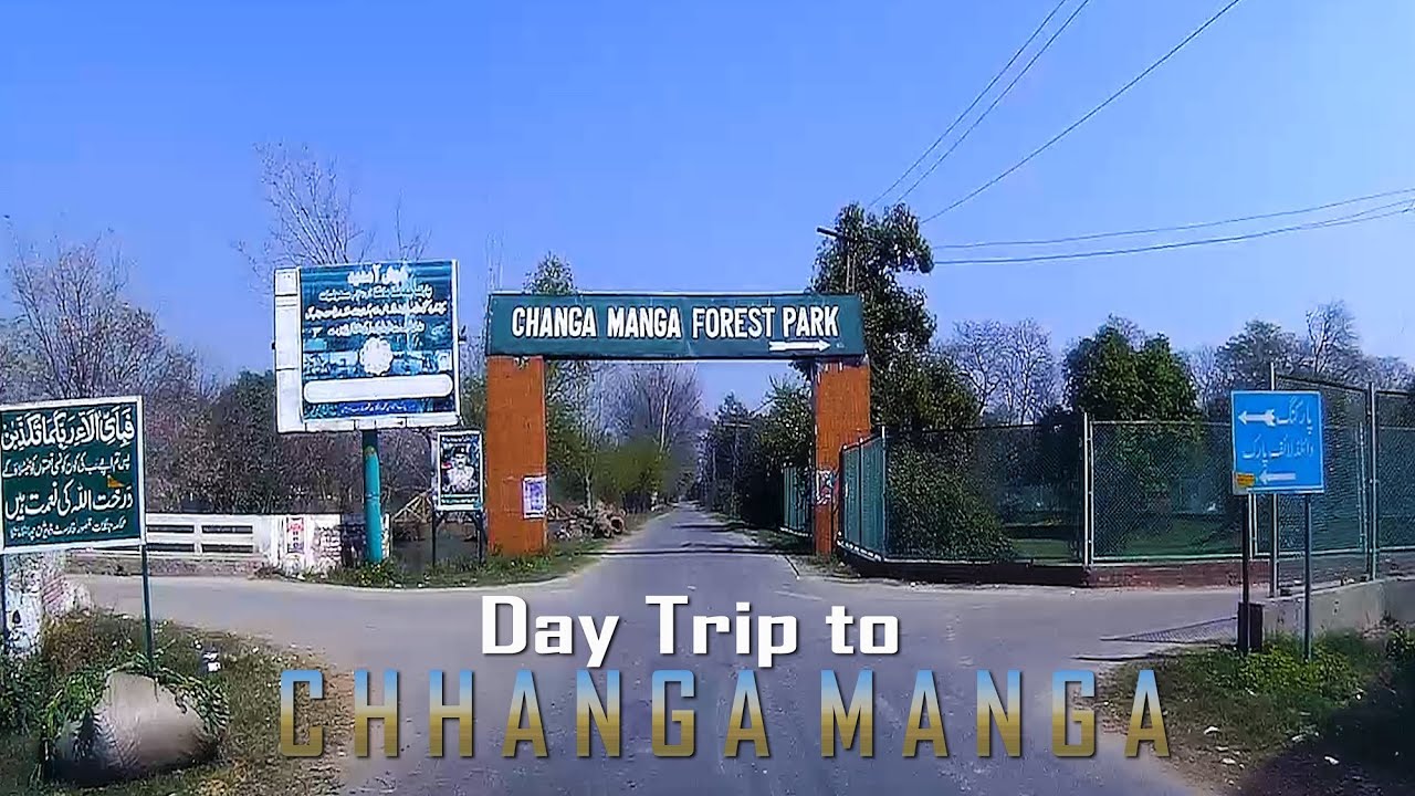 Chhanga Manga Forest & Family Park | Lahore | Largest Man made Forest of Asia