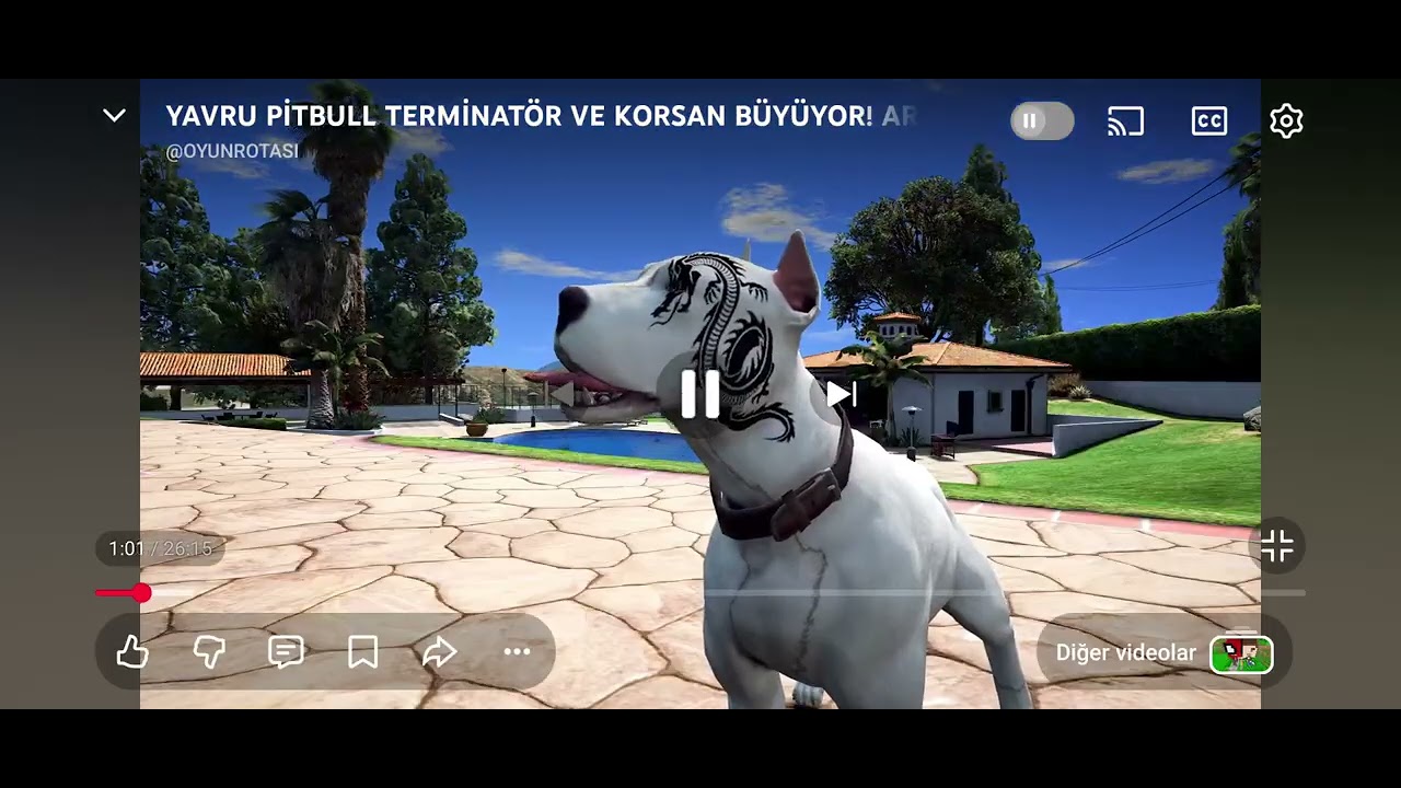 6 Şubat 2026