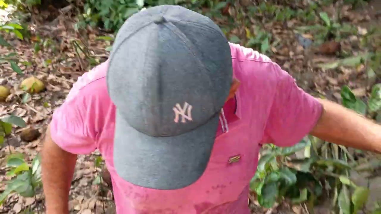 Mais uma aventura pelo sítio abençoado 😃♥️♥️