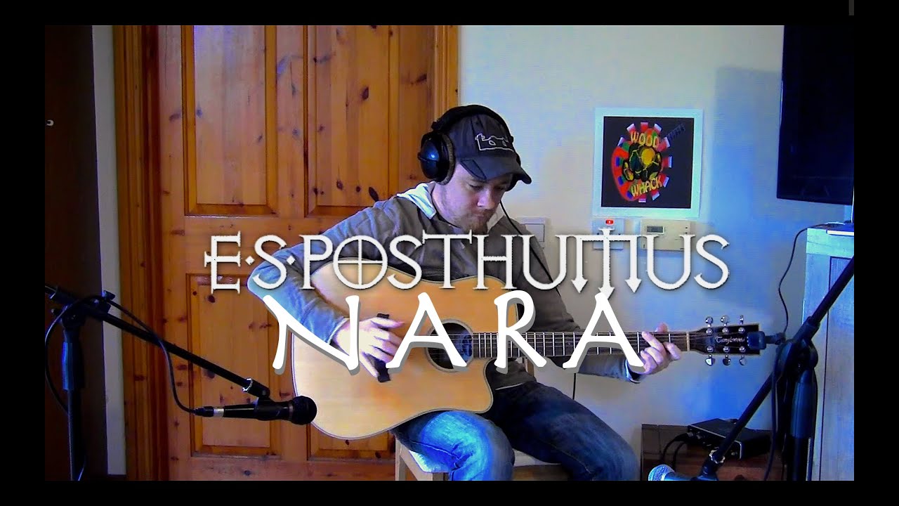 Nara (E.S.Posthumus) Percussive Acoustic