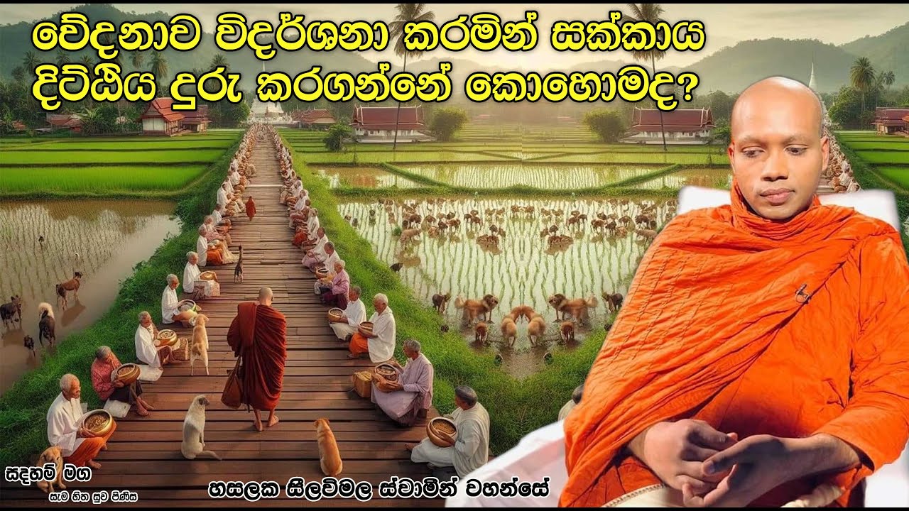 වේදනාව විදර්ශනා කරමින් සක්කාය දිට්ඨිය දුරු කරගන්නේ කොහොමද?2210Ven Hasalaka Seelawimala Thero