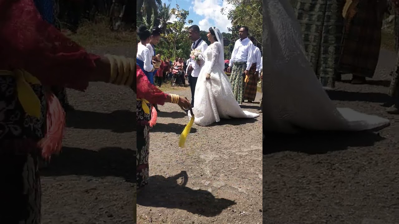 Sola toja nikah mulia maumere