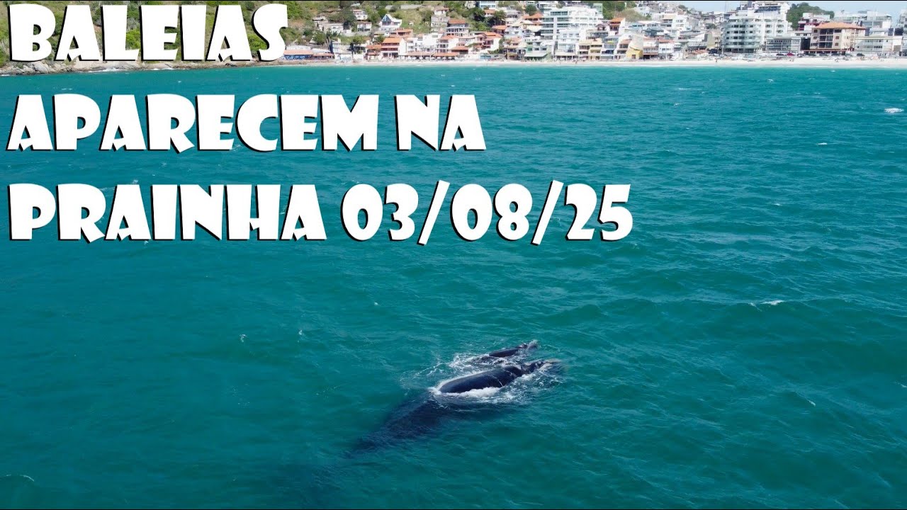 em ARRAIAL DO CABO hoje 03/08/25