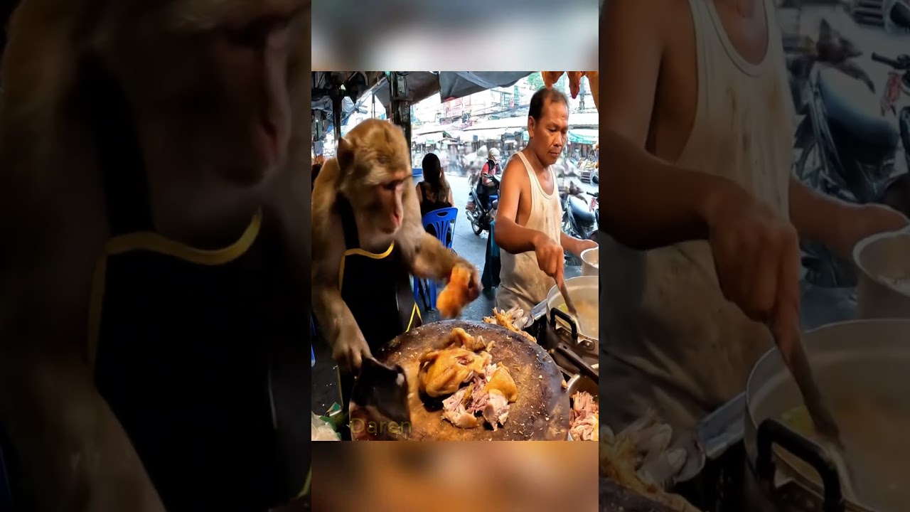 🐵 Monkey Chef Butchering Chicken Like a Pro! 🍗🔥 | Shocking Street Food  