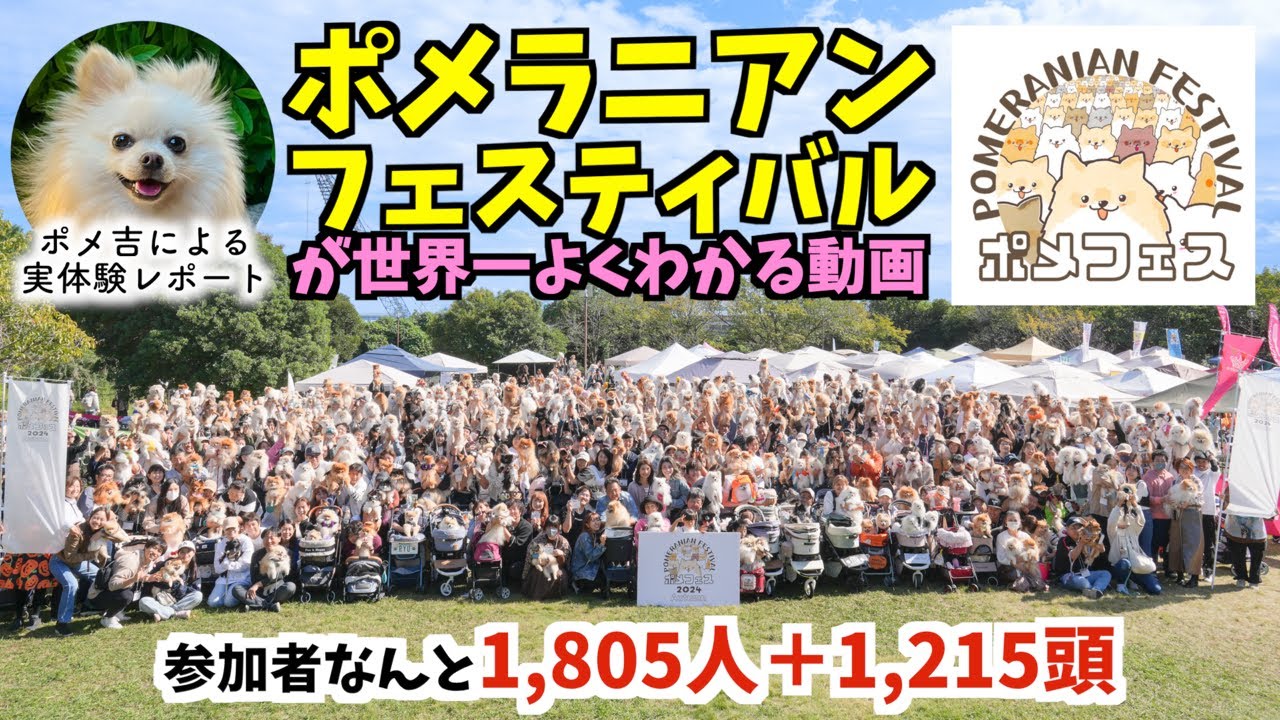 【徹底解説】ポメフェスが世界一よくわかる実体験レポート