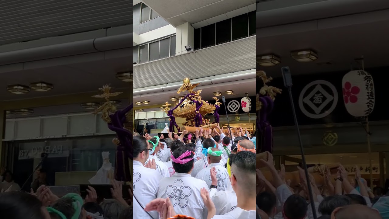 令和八年 湯島天神梅まつり 神輿渡御 #神輿 #祭り #祭 #湯島天神 #湯島天満宮 #梅まつり #パンダ広場 #上野松坂屋 #学問のみち