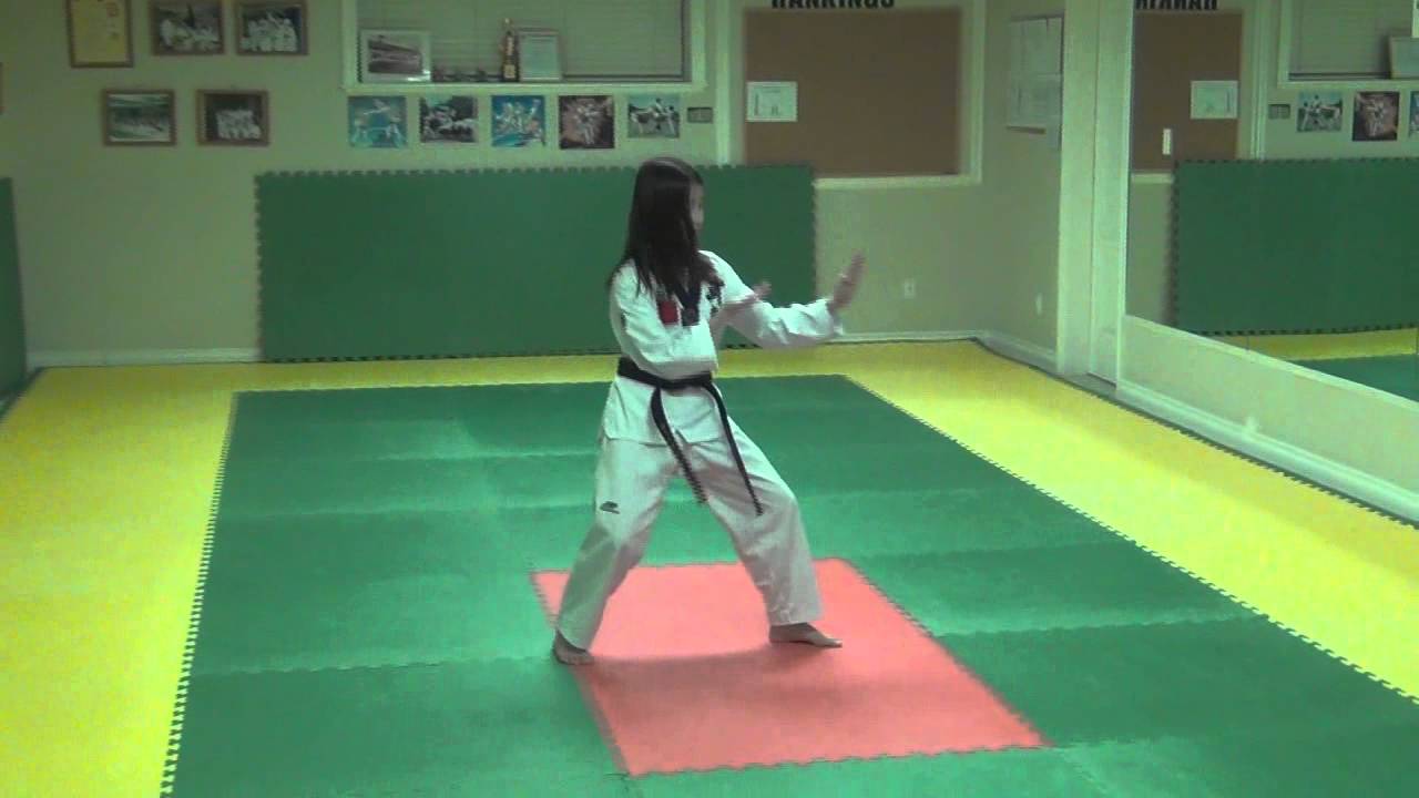 Surrey Taekwondo Class I Wu-Yi Taekwondo