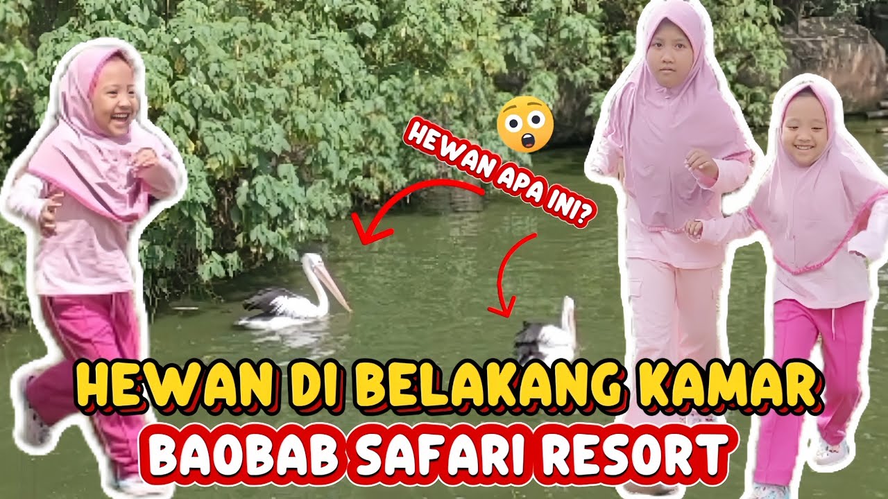 HEWAN DI BELAKANG KAMAR | BAOBAB SAFARI RESORT | KaisaTika