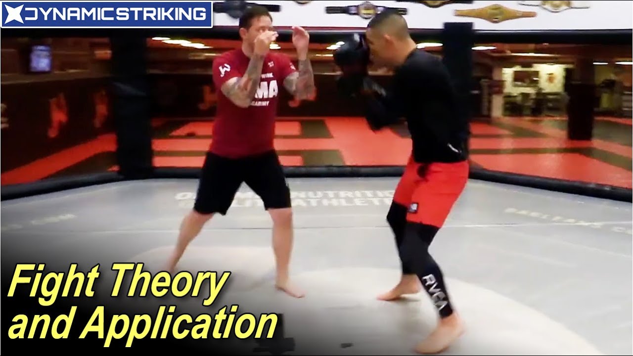 Fight Theory and Application by Brandon Gibson