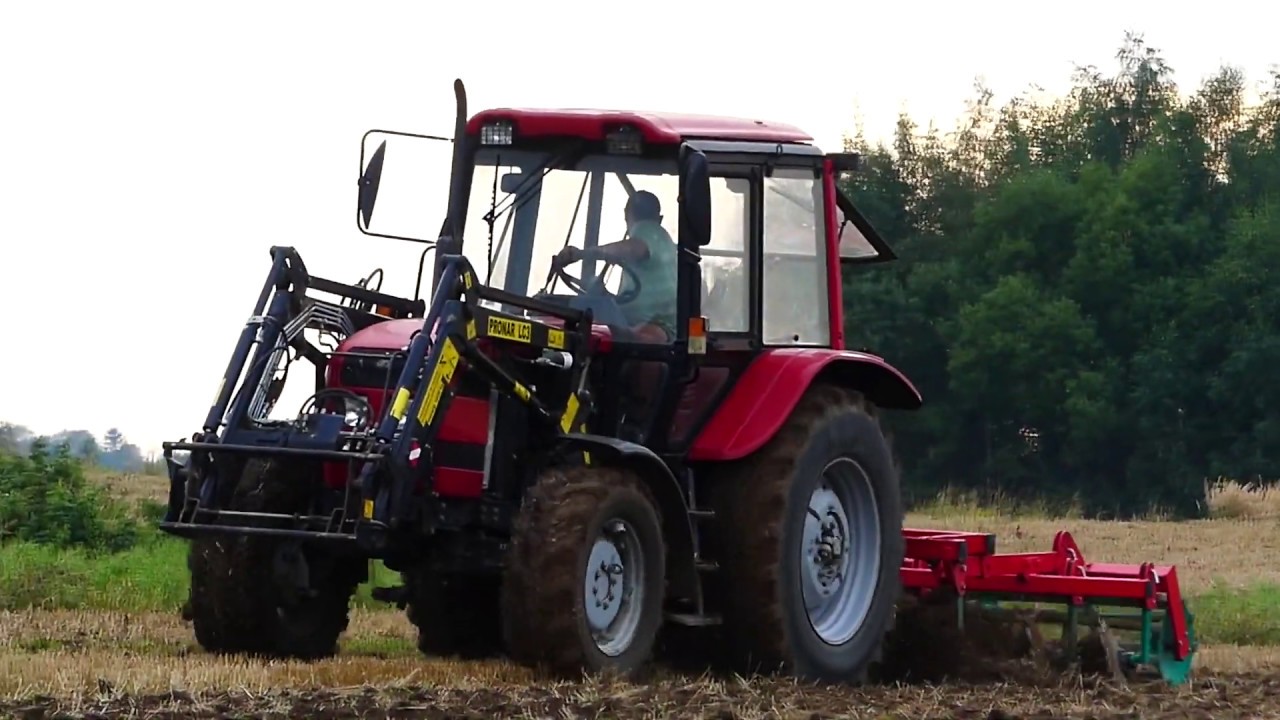 Gruberowanie 2019 |Świętokrzyskie| Belarus 952.3 + AgroMasz 2,7m
