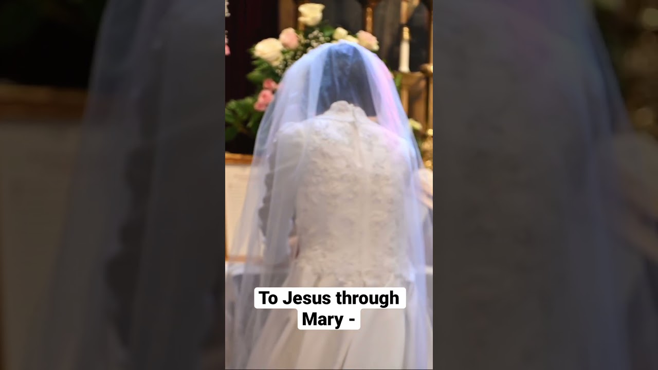 First vows of Sr. Mary Anne. #tradition #catholic #religion #nuns #sistersmicm #ihmstillriver