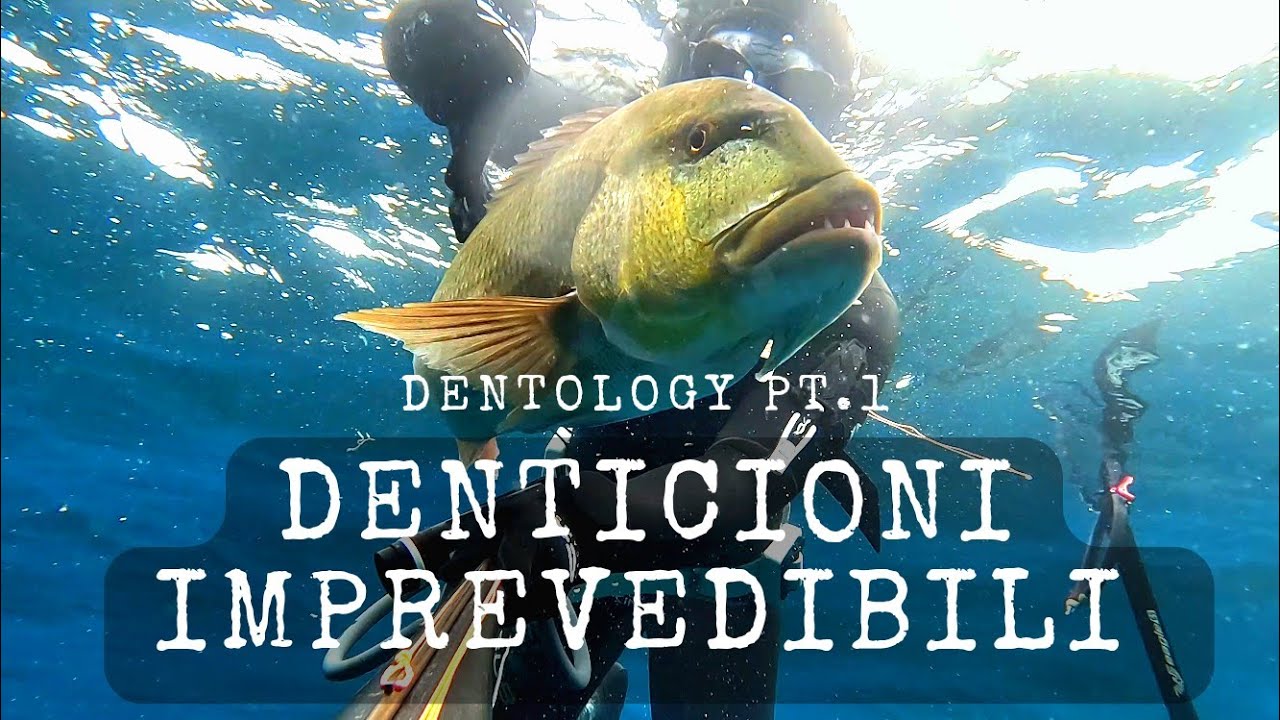 Dentology - Denticioni imprevedibili Pt.1