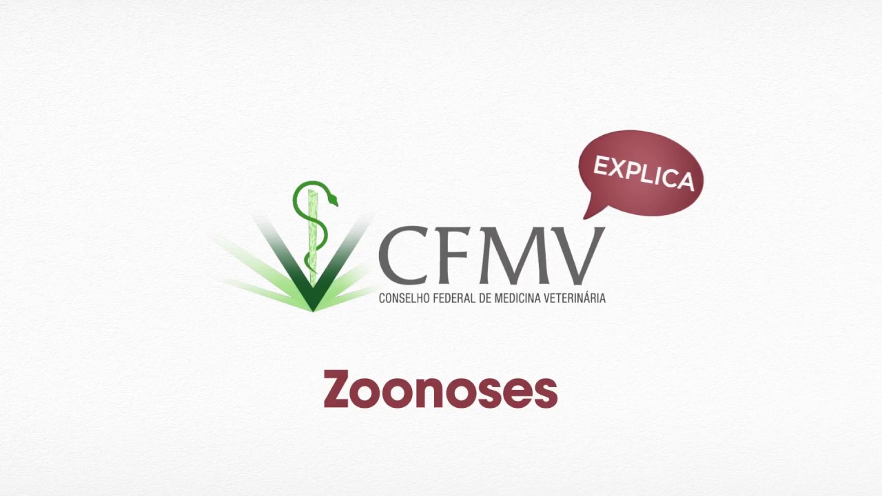 CFMV Explica – Zoonoses