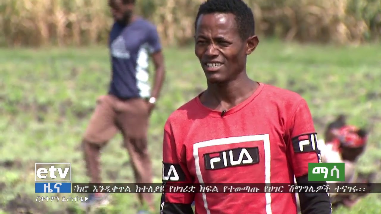 ማሳ በጉራጌ ዞን አበሽጌ ወረዳ …