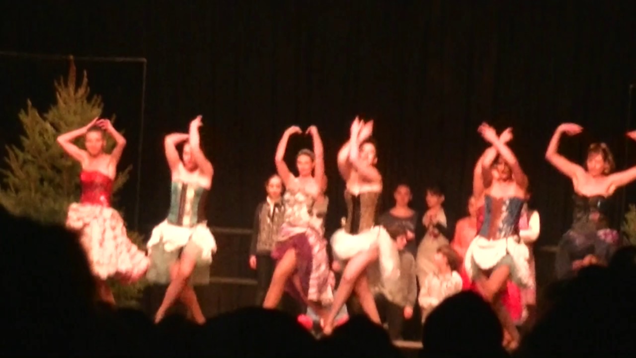 Spectacle de St Nicolas Bar Le Duc 2016