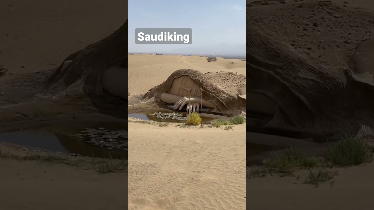 Saudi Arabia king death in desert 😔 #saudiarabia #desert #feelingalone #sadkingstory #saudiking