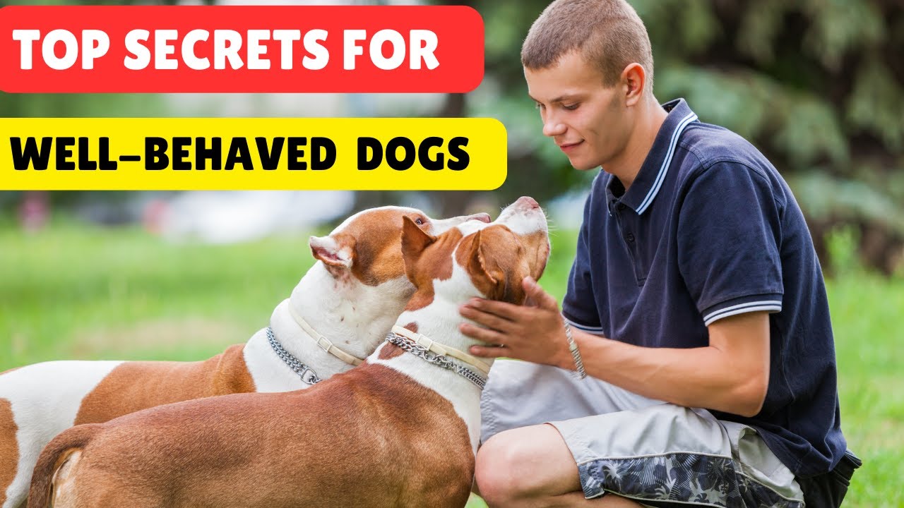 The Art of Doggy Discipline: Top Secrets for Well-Behaved Dogs