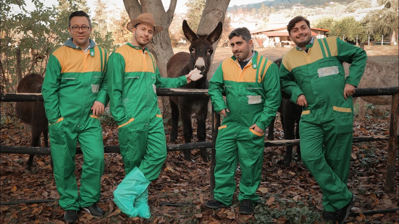 la nuova tarantella Cinghios, TIKky TOKky - Cinghios Group