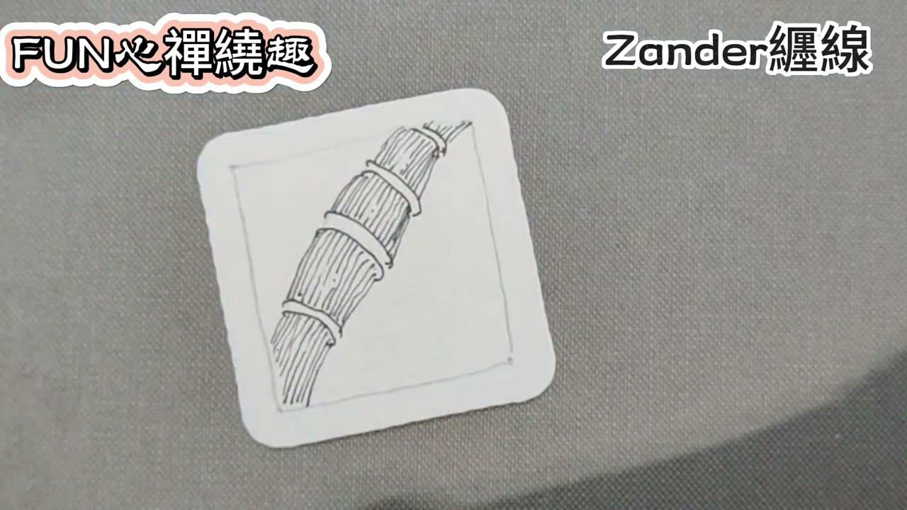 #Zander纒線 15