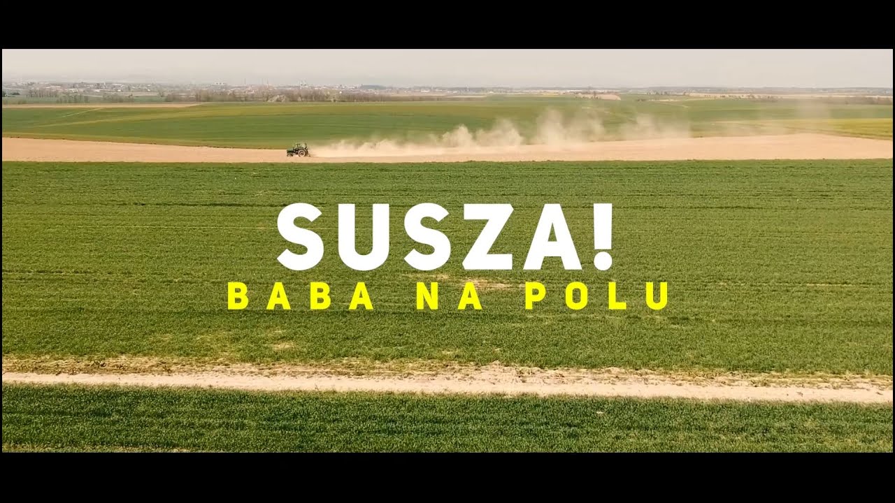 Susza/2020/rzepak ozimy/zboża ozime/brak wody/