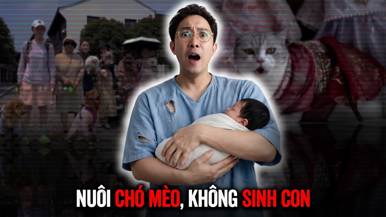 Tại sao người Trung Quốc thà nuôi chó NHẤT QUYẾT không sinh con?