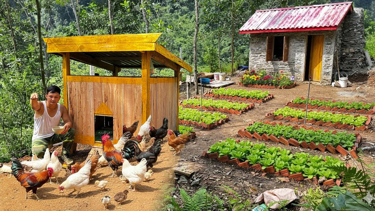 Wealthy CEO Leaves the City for the Forest: Builds a Chicken Coop and Cooks Amid Nature