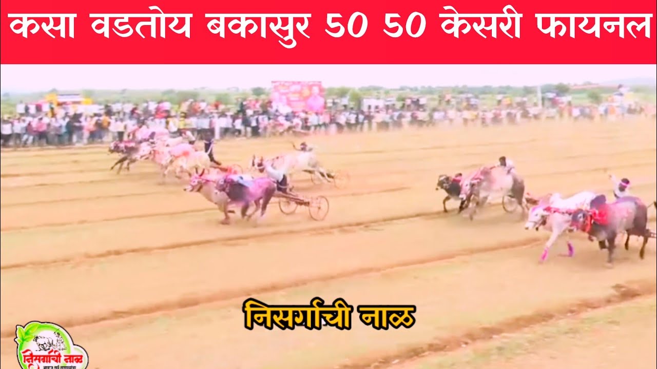सोन्या 5050 केसरी फायनल फेरा निकाल बकासुर #निसर्गाची_नाळ