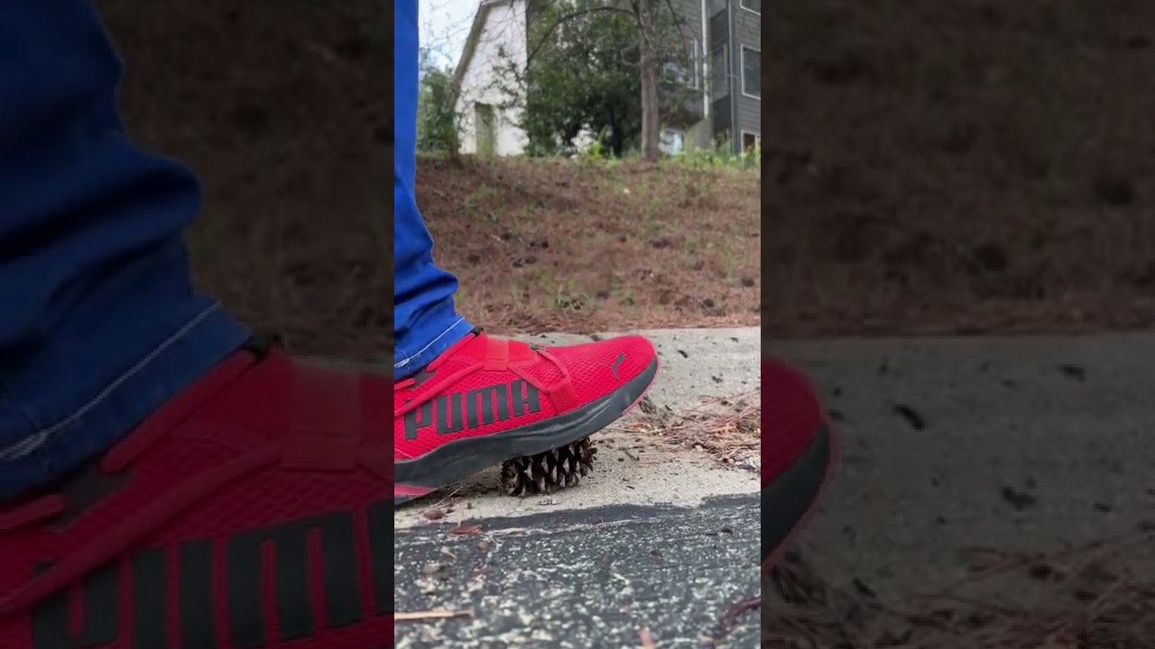 ASMR step on a pine cone