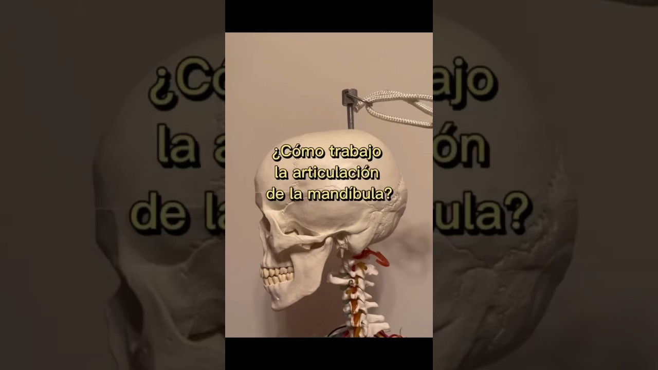 Tratamiento de fisioterapia de la mand&iacute;bula | #atm #mandibula #fisioterapeuta #fisiotips #dolor