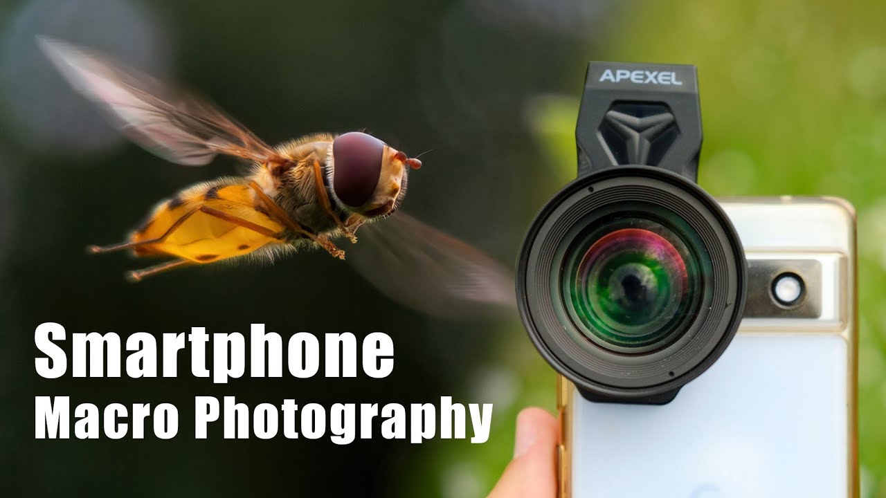 Testing the Limits of Smarphone Macro Photography - Apexel HB100 ultra macro lens