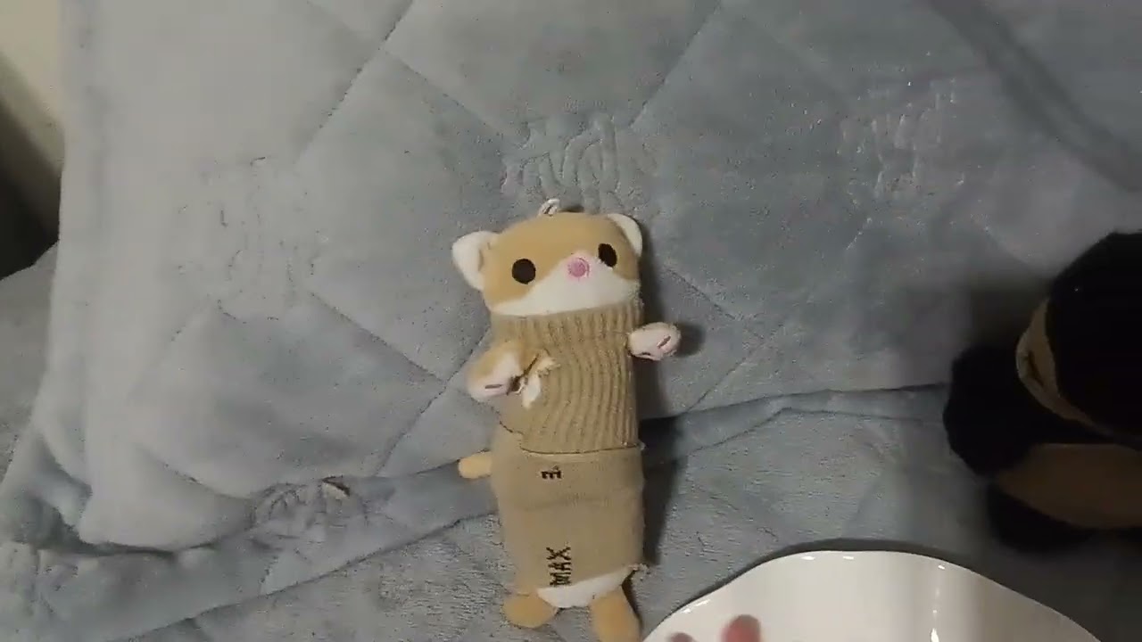 Влог с Котей и Мурзей❤