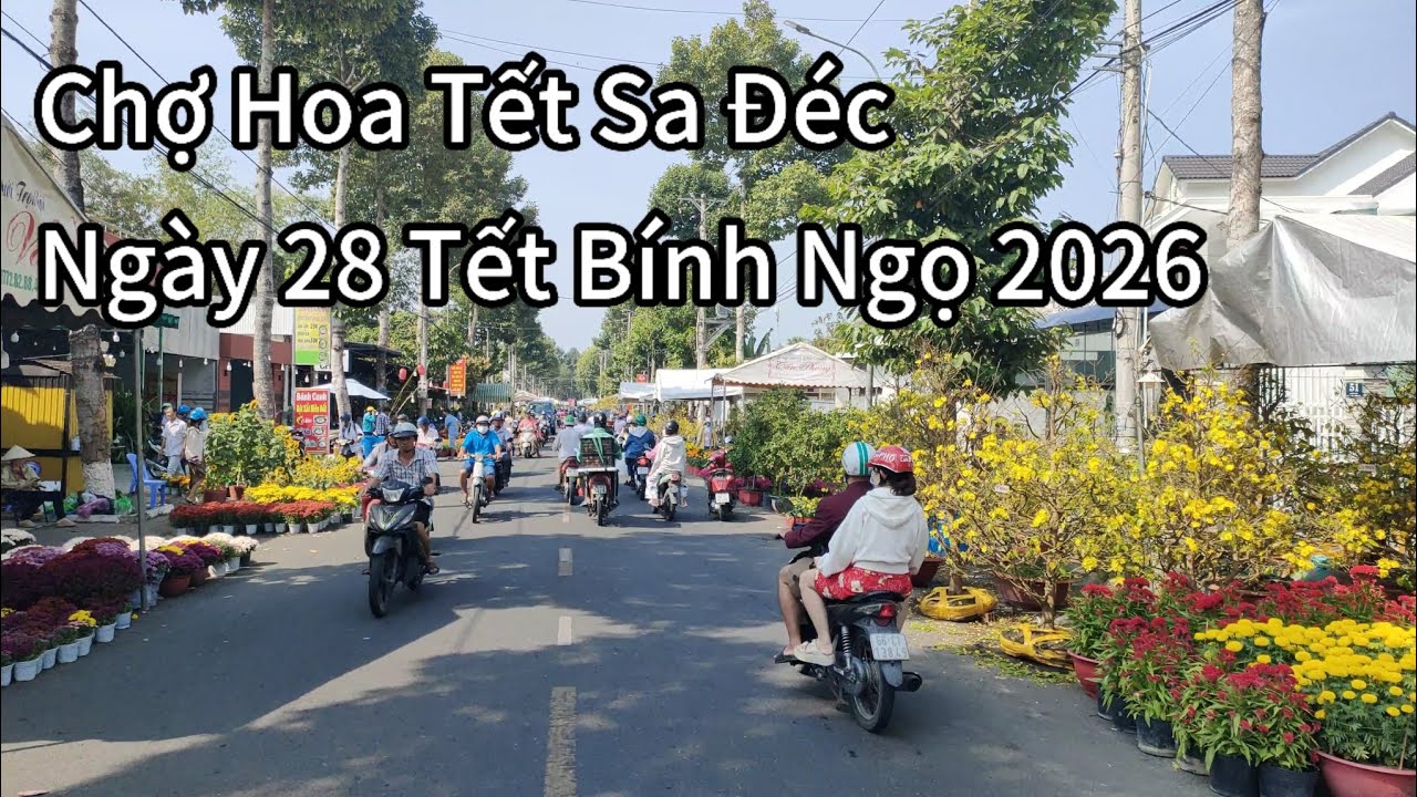 Chợ Hoa Xuân Sa Đéc Tết Bính Ngọ 2026 - 28 Tết vẫn còn rất nhiều hoa tết | Phạm Long
