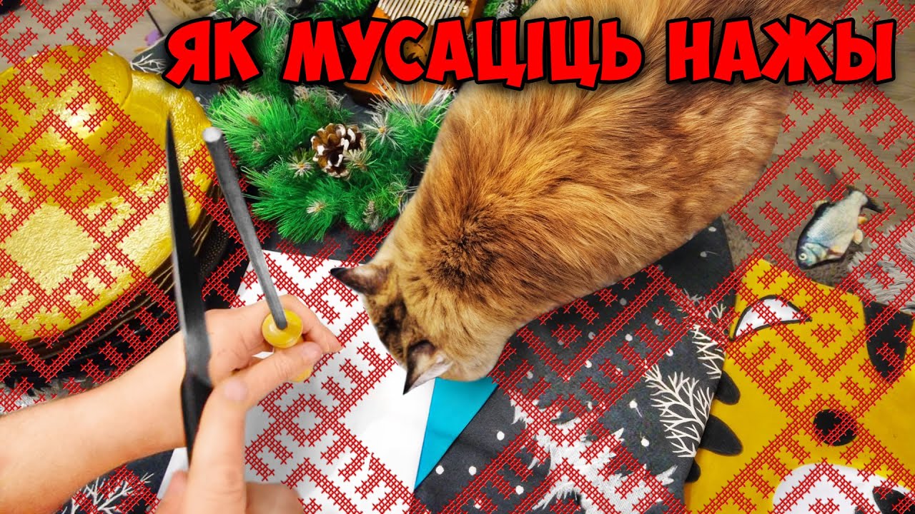 Як ПРАВІЛЬНА мусаціць нож і не адчыкаць сабе святочны настрой 2026  #беларускаямова #пабеларуску