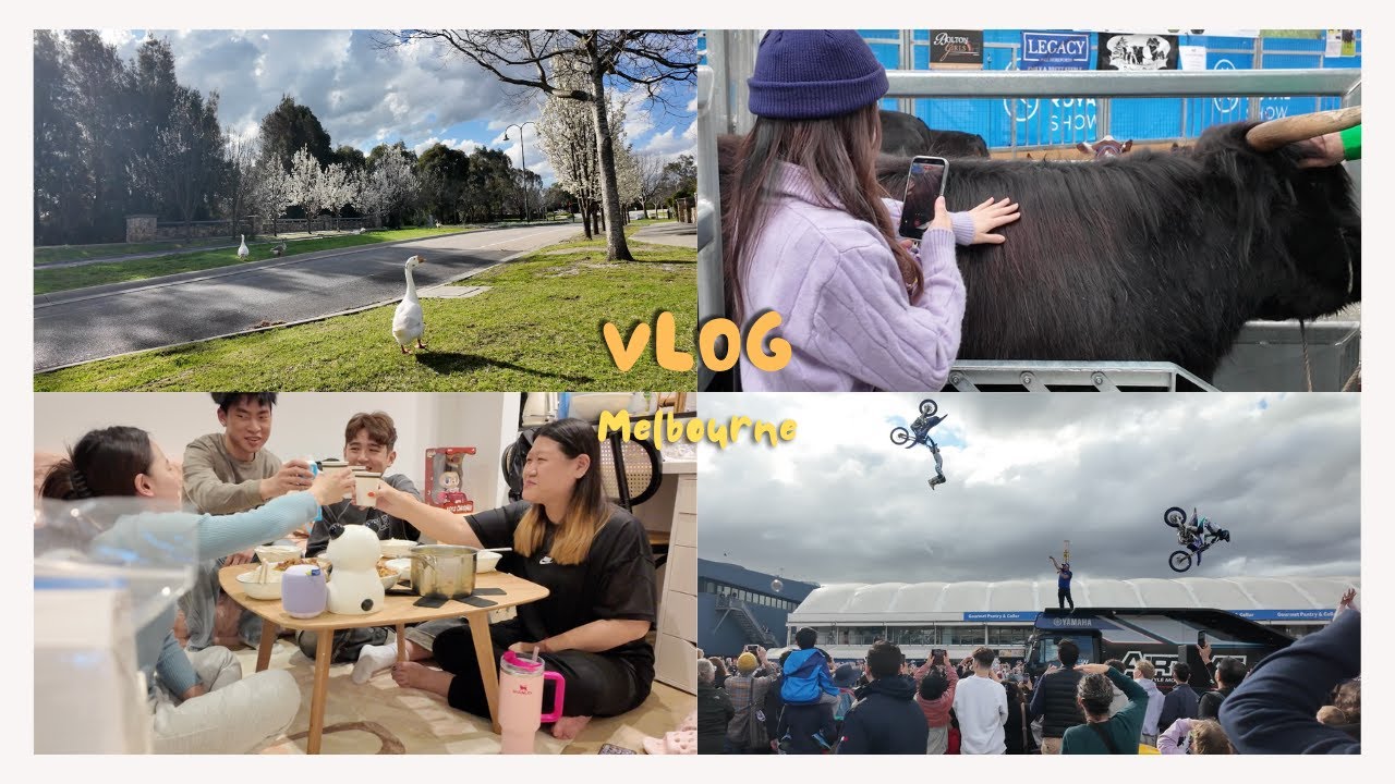 Melbourne vlog12⎜墨爾本皇家秀🐎⎜鬱金香節⎜與大學朋友重聚⎜皮克斯30週年快閃