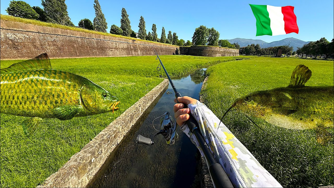 QUALI PESCI Abitano Questo MINUSCOLO CANALE? Pesca Urbana a LUCCA: Ultralight Spinning e Spinfly