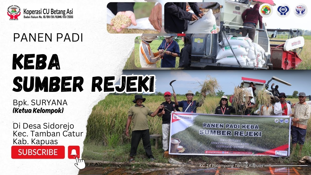 Panen Padi bersama Kelompok Usaha Bersama Anggota (KEBA) 