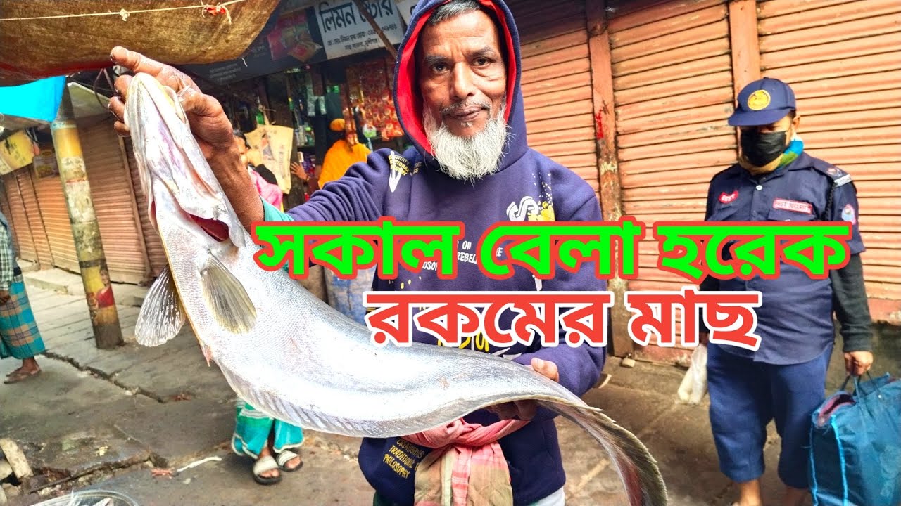 সকাল বেলার মাছের ডাক – আজকের বাজারের লাইভ পরিবেশ 🎣🐟 | Village Fish Market Vlog #fish #villagevlog