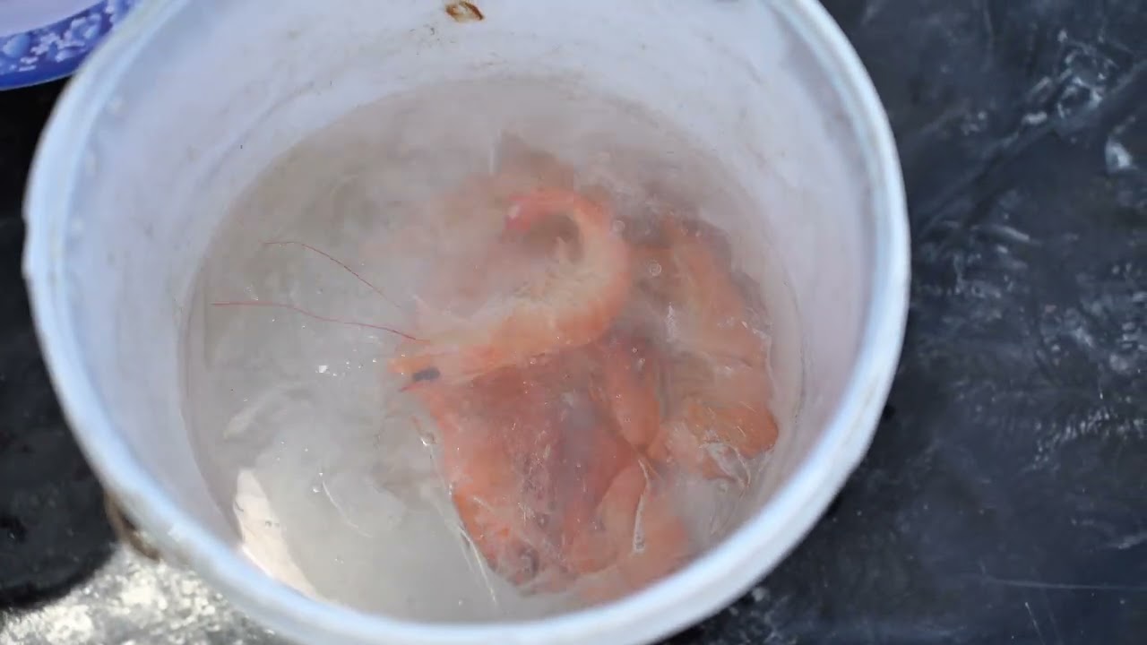 Cách nhận biết TÔM TƯƠI | Tìm hiểu cùng ViettinFood