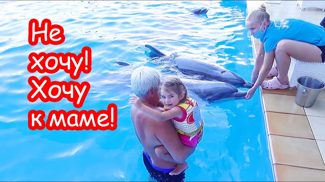VLOG Плавать с дельфинами Алиса побоялась