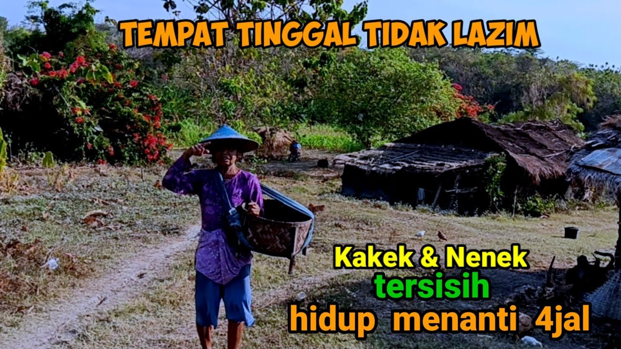 Berjuta-juta Orang turut terharu menangis melihat kehidupan Pasangan Lansia Jelang Pilkada Serentak.