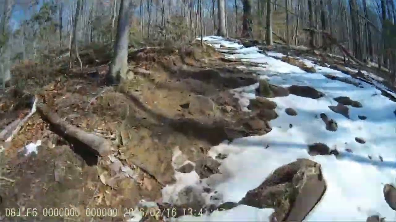 First Person #Bodycam Perspective | Preddy Creek Trails Park | Hiking the Preddy Creek Loop Trail
