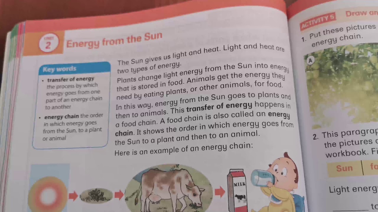 T3 W2 0204 NS Gr. 4 An energy chain