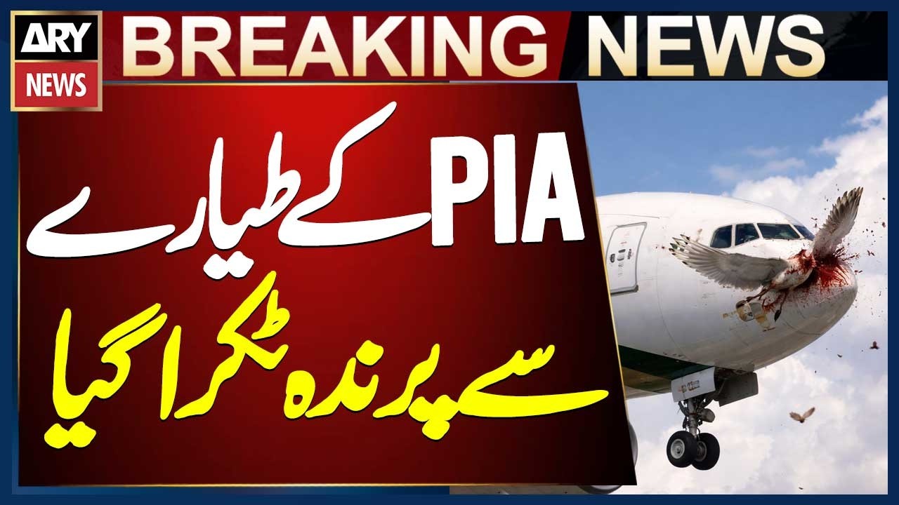 PIA Flight PK305 Struck by Bird Mid-Flight