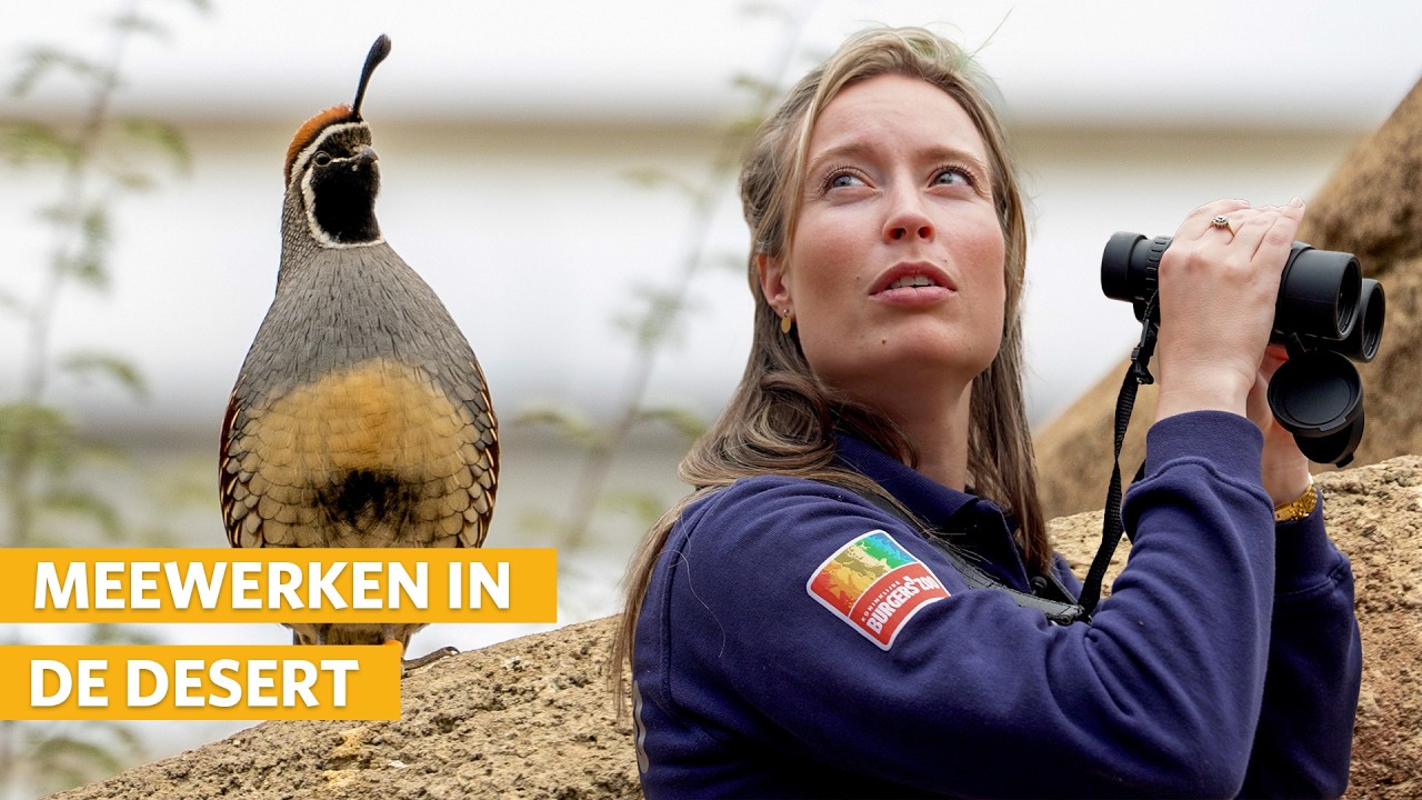 Dieren voeren en vogels zoeken in de Desert | Burgers' Zoo achter de schermen