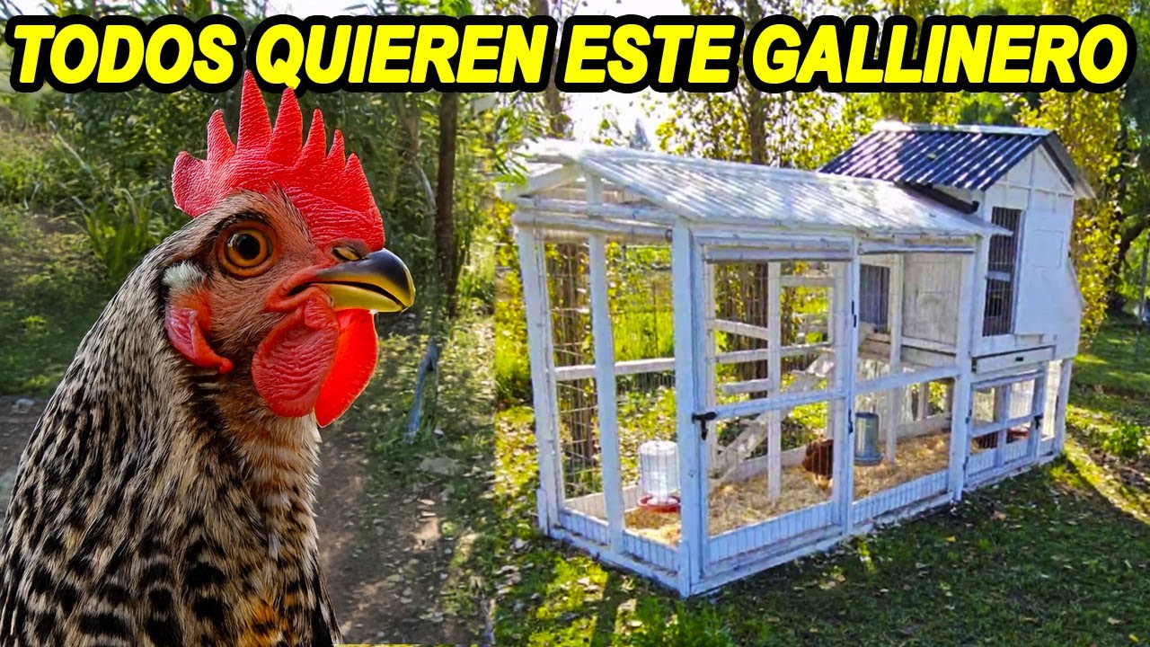 Mirá Cómo Tiene Gallinas FÁCIL… Y Con Huevos Todos los Días - Gallinero ideal para el Jardín