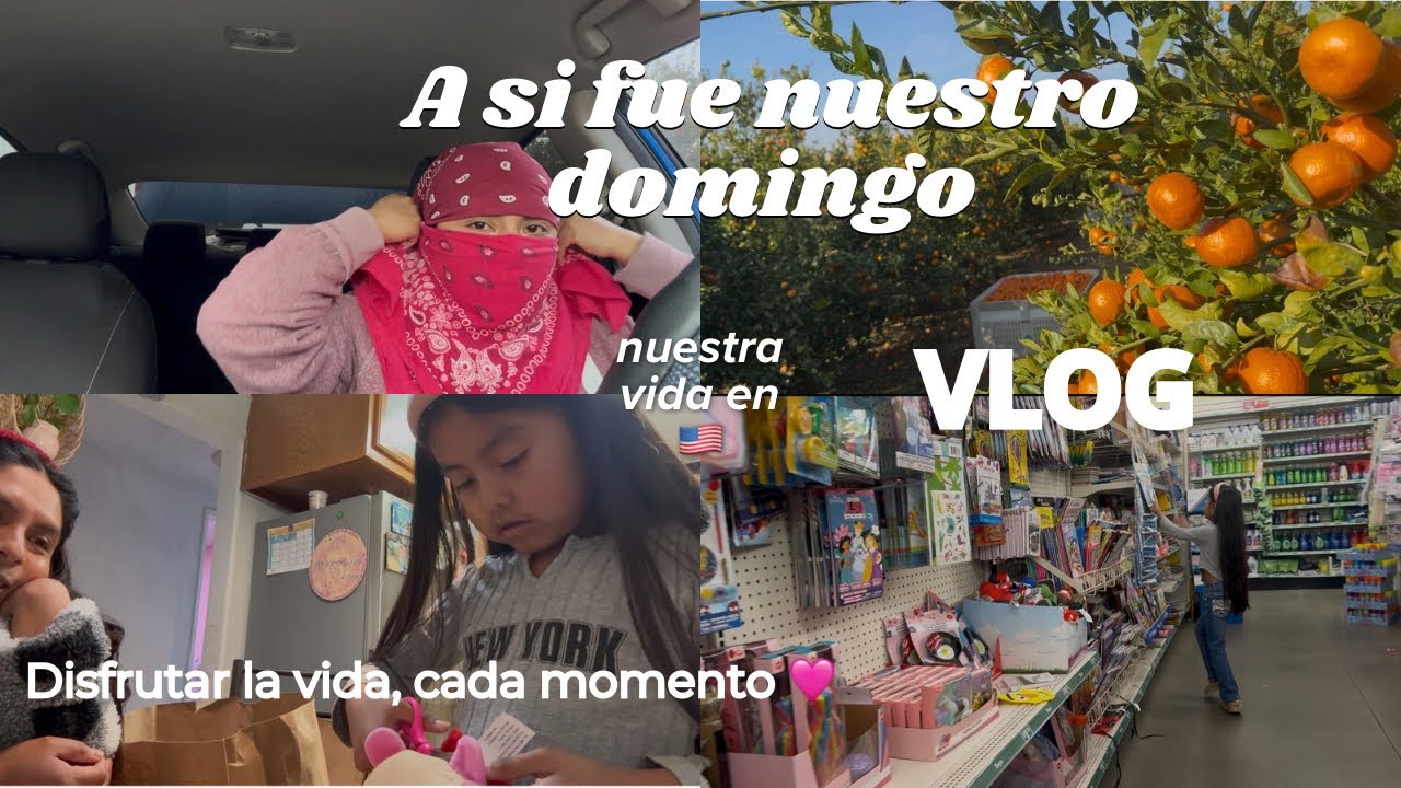 Trabajé el domingo ☹️ + mucha niebla 🌫️ 😱 fuimos a la tienda del dollar tree 🤩