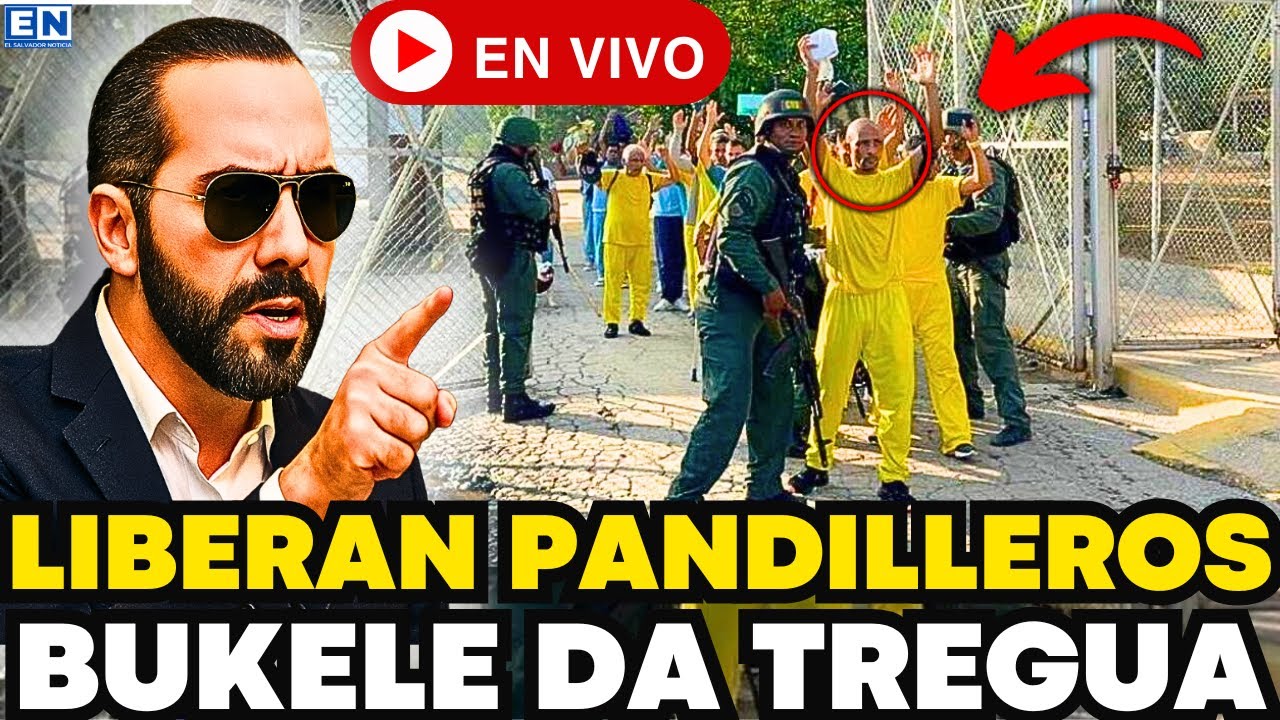 BUKELE LIBERA A PANDILLEROS - El Salvador Noticia