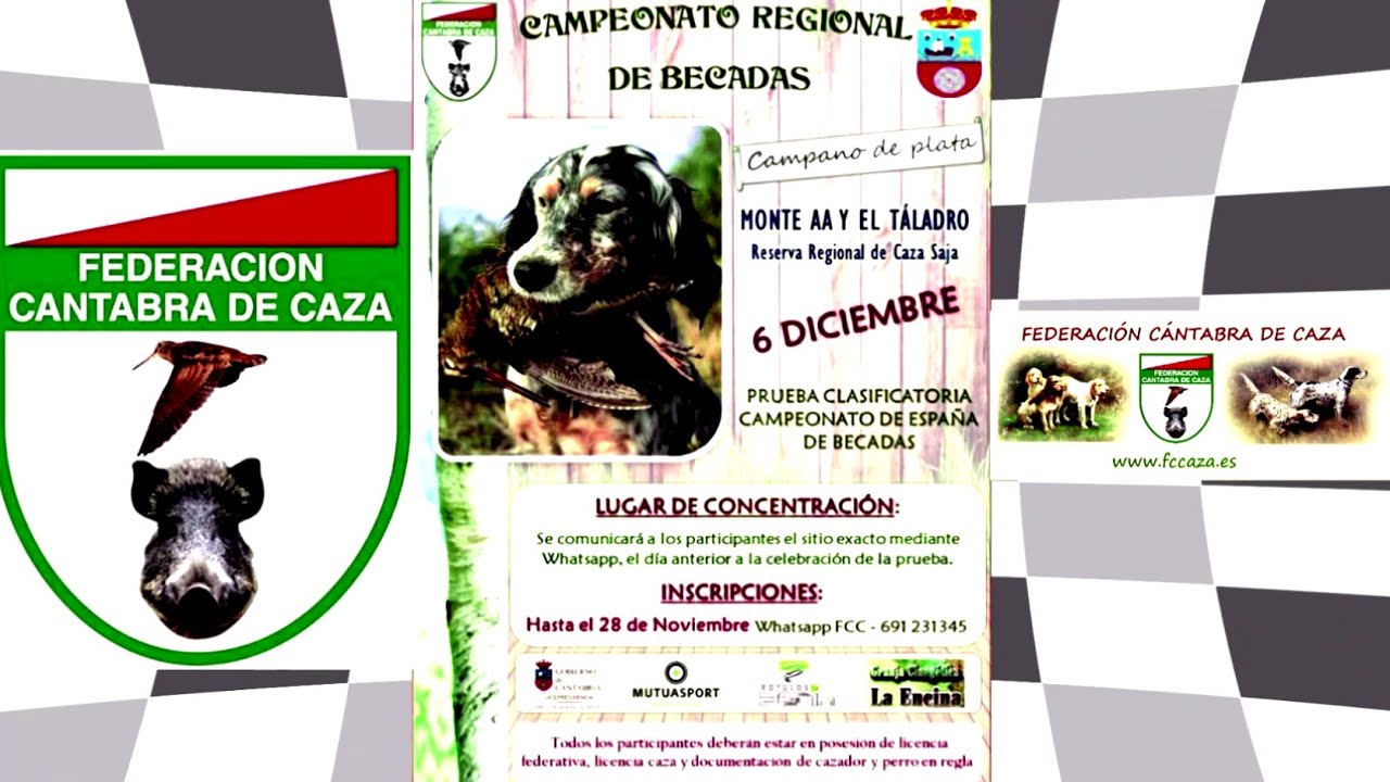 Campeonato Regional de Sordas